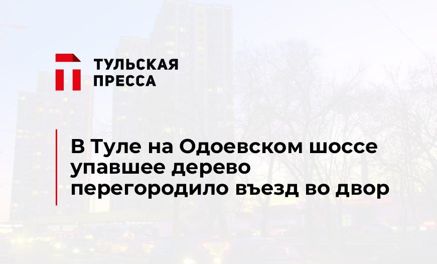 В Туле на Одоевском шоссе упавшее дерево перегородило въезд во двор