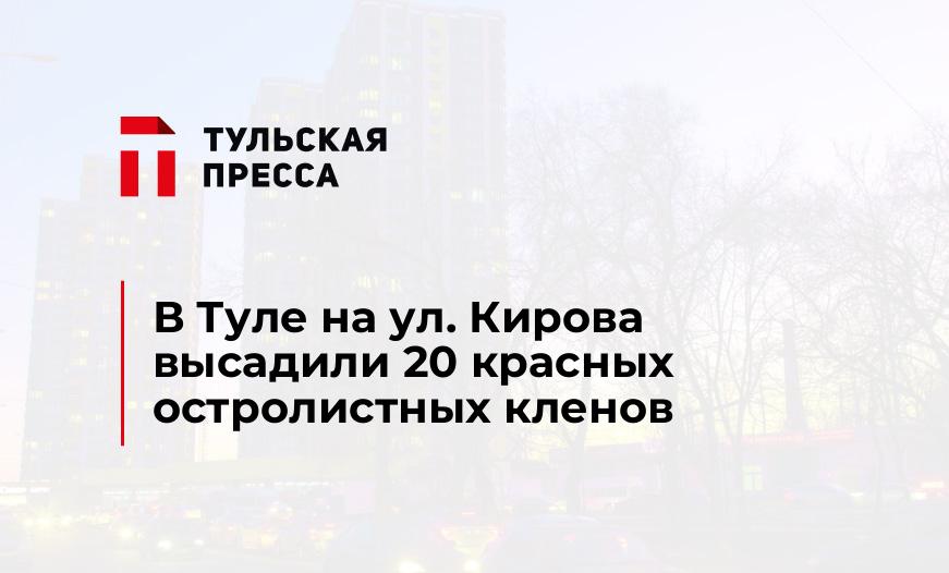В Туле на ул. Кирова высадили 20 красных остролистных кленов