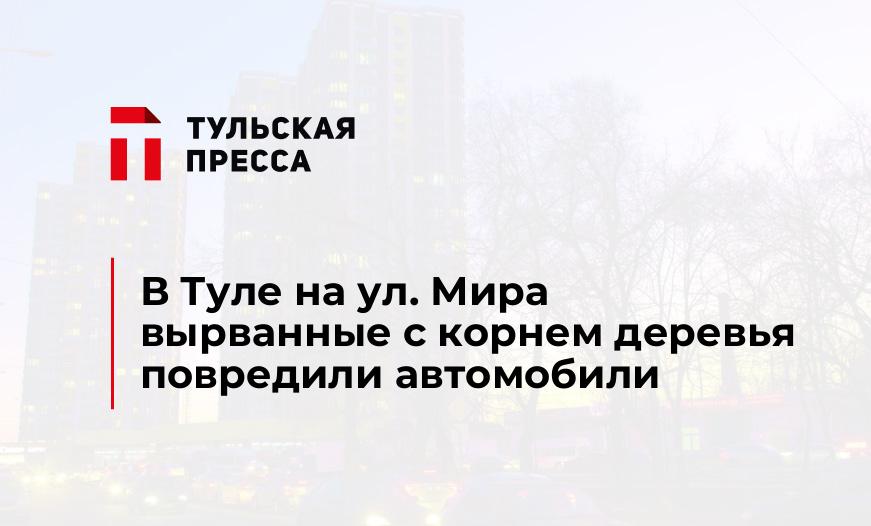 В Туле на ул. Мира вырванные с корнем деревья повредили автомобили