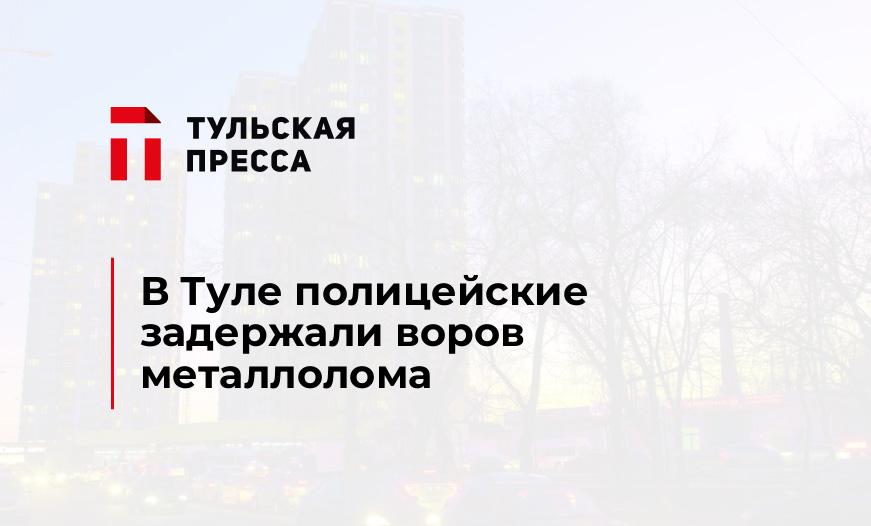 В Туле полицейские задержали воров металлолома
