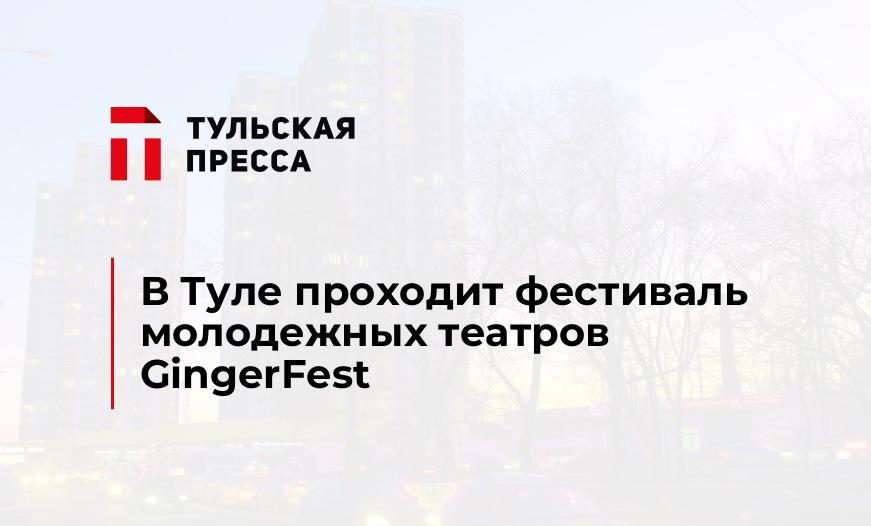 В Туле проходит фестиваль молодежных театров GingerFest