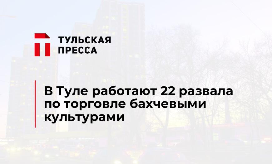 В Туле работают 22 развала по торговле бахчевыми культурами 