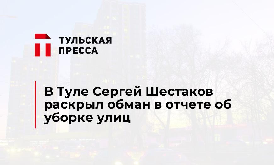 В Туле Сергей Шестаков раскрыл обман в отчете об уборке улиц