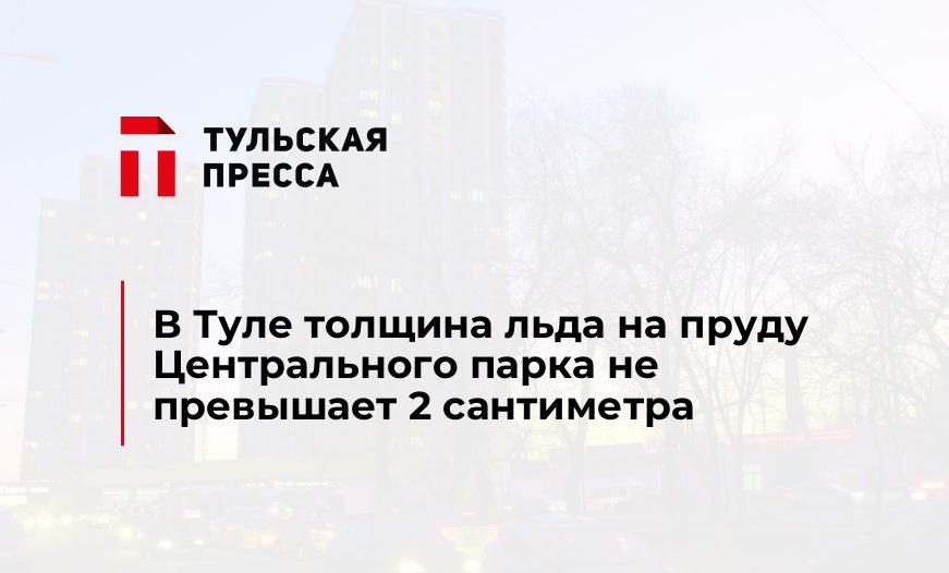 В Туле толщина льда на пруду Центрального парка не превышает 2 сантиметра