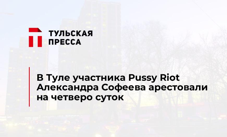 В Туле участника Pussy Riot Александра Софеева арестовали на четверо суток