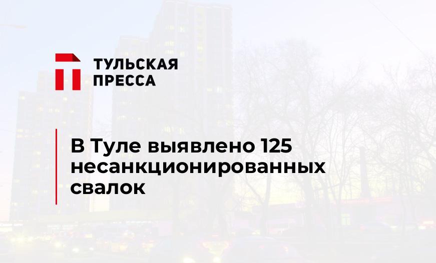 В Туле выявлено 125 несанкционированных свалок