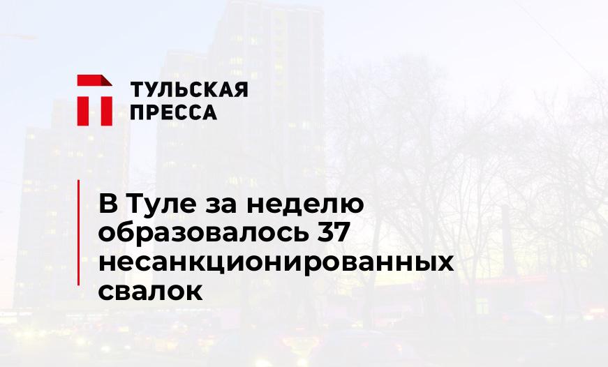 В Туле за неделю образовалось 37 несанкционированных свалок