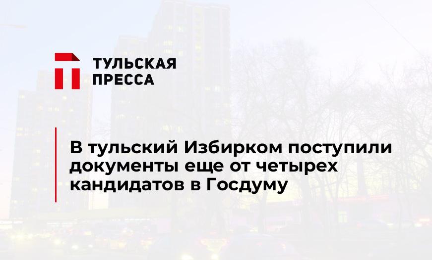 В тульский Избирком поступили документы еще от четырех кандидатов в Госдуму