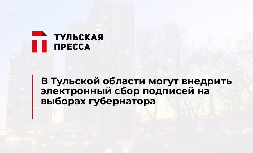 В Тульской области могут внедрить электронный сбор подписей на выборах губернатора