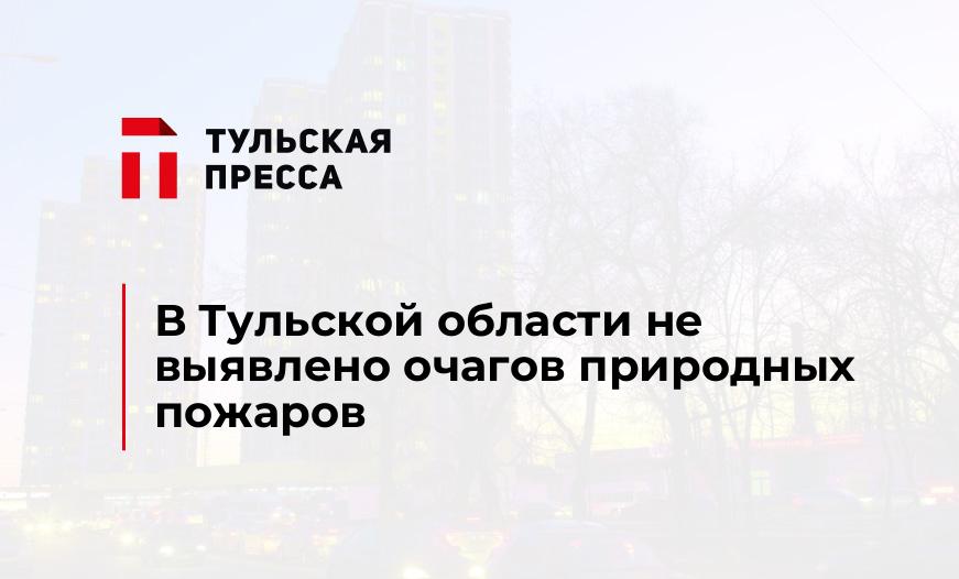 В Тульской области не выявлено очагов природных пожаров 