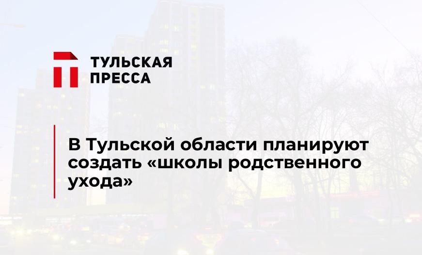 В Тульской области планируют создать "школы родственного ухода"