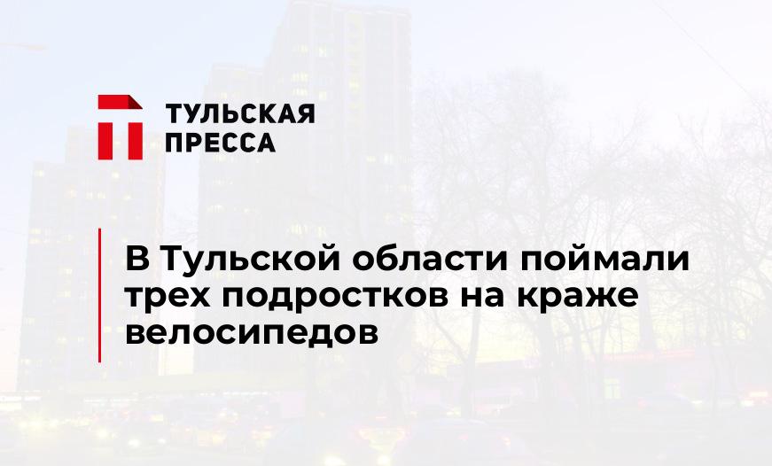 В Тульской области поймали трех подростков на краже велосипедов