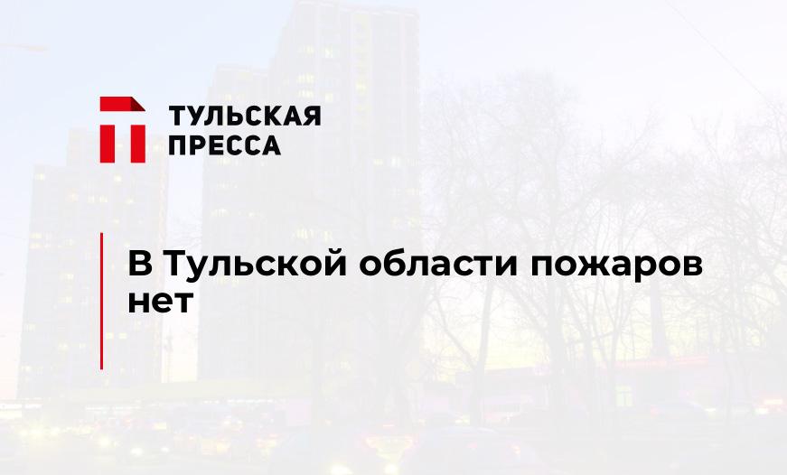 В Тульской области пожаров нет