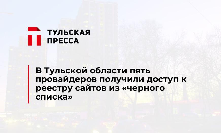 В Тульской области пять провайдеров получили доступ к реестру сайтов из "черного списка"