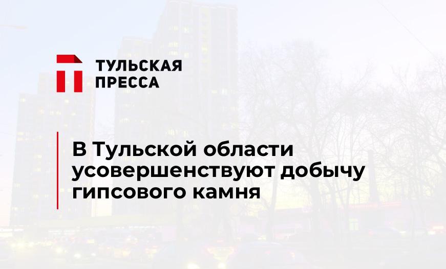 В Тульской области усовершенствуют добычу гипсового камня