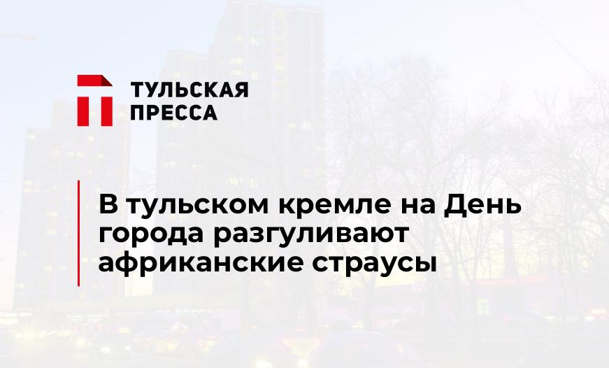 В тульском кремле на День города разгуливают африканские страусы