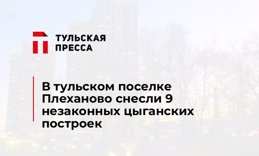 В тульском поселке Плеханово снесли 9 незаконных цыганских построек