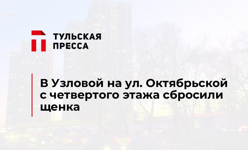 В Узловой на ул. Октябрьской с четвертого этажа сбросили щенка