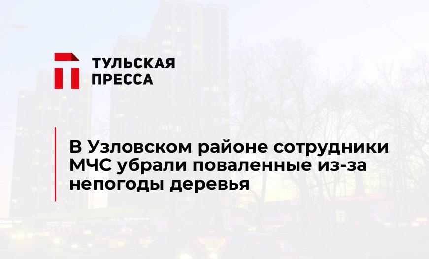 В Узловском районе сотрудники МЧС убрали поваленные из-за непогоды деревья
