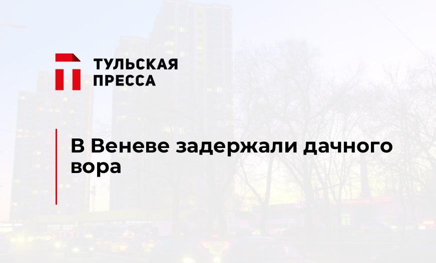 В Веневе задержали дачного вора