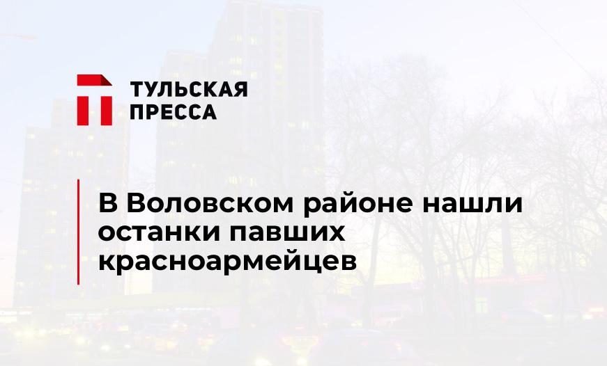 В Воловском районе нашли останки павших красноармейцев