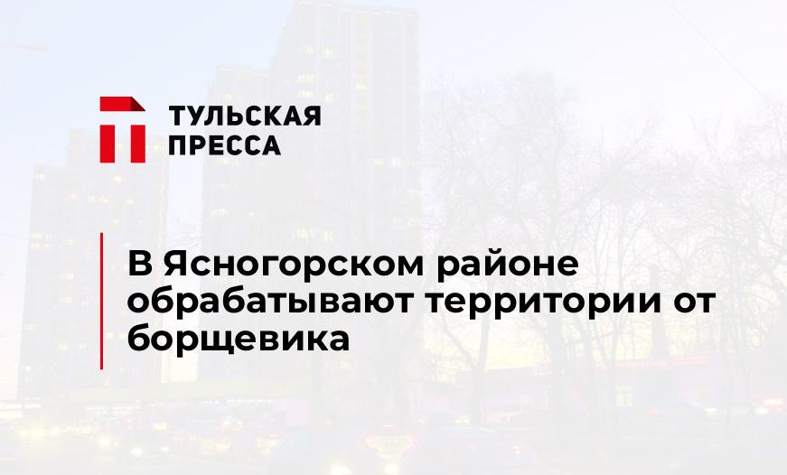 В Ясногорском районе обрабатывают территории от борщевика