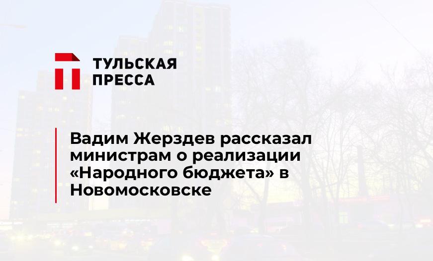 Вадим Жерздев рассказал министрам о реализации «Народного бюджета» в Новомосковске