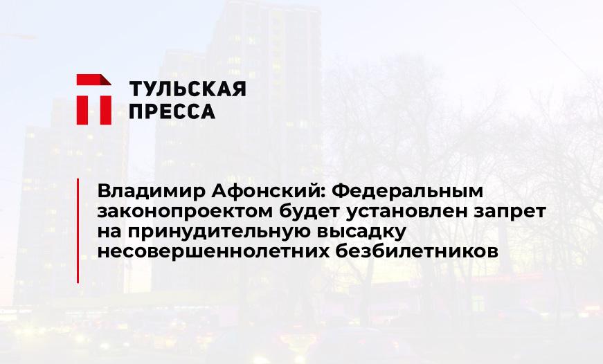 Владимир Афонский: Федеральным законопроектом будет установлен запрет на принудительную высадку несовершеннолетних безбилетников