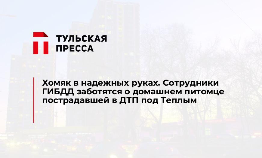 Хомяк в надежных руках. Сотрудники ГИБДД заботятся о домашнем питомце пострадавшей в ДТП под Теплым