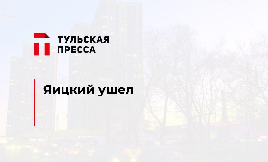 Яицкий ушел