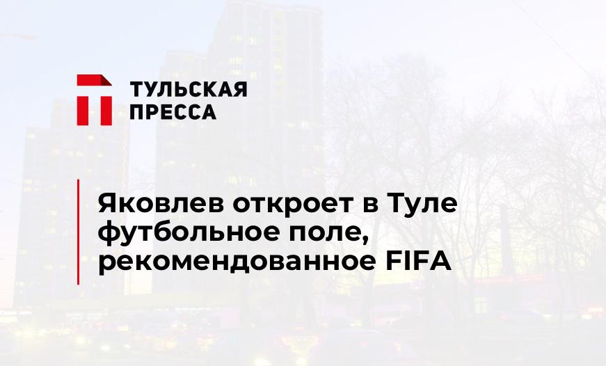 Яковлев откроет в Туле футбольное поле, рекомендованное FIFA