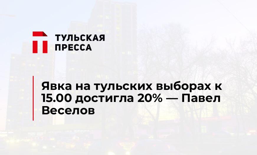 Явка на тульских выборах к 15.00 достигла 20% - Павел Веселов