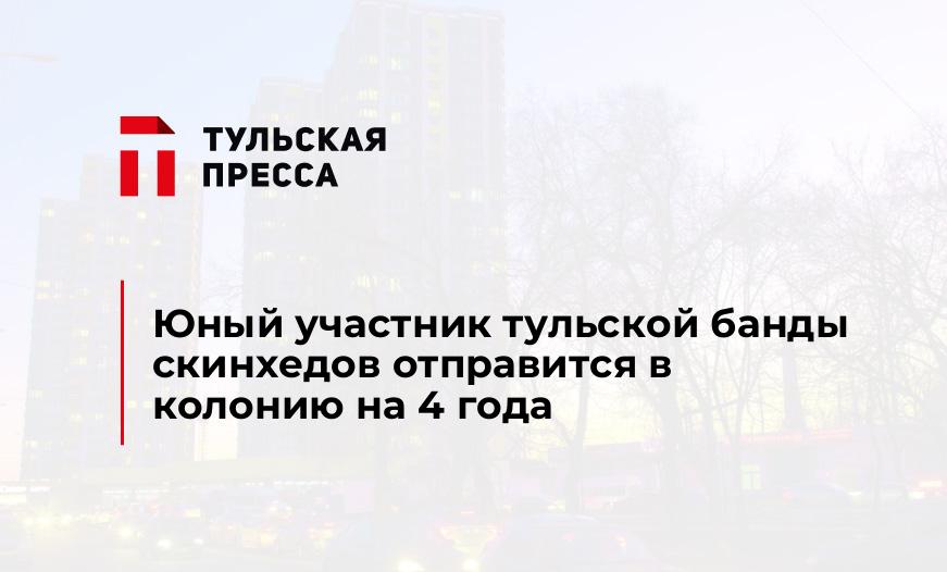 Юный участник тульской банды скинхедов отправится в колонию на 4 года
