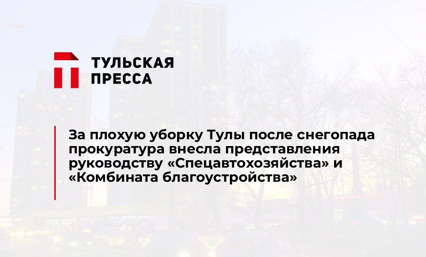 За плохую уборку Тулы после снегопада прокуратура внесла представления руководству "Спецавтохозяйства" и "Комбината благоустройства"