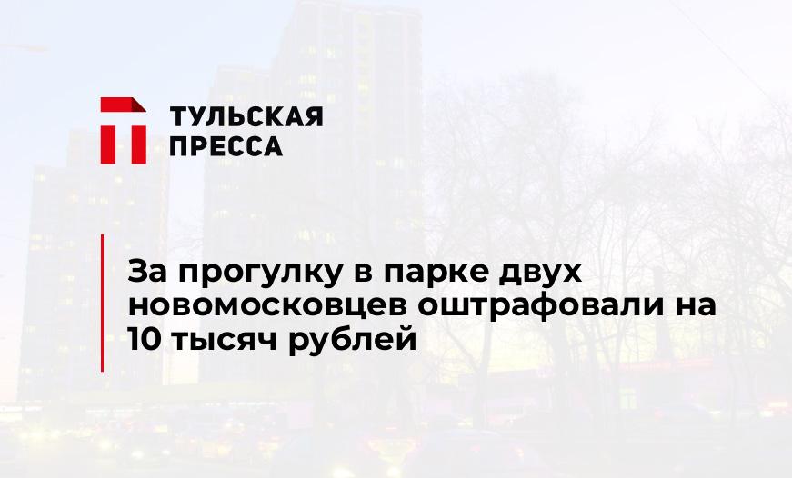 За прогулку в парке двух новомосковцев оштрафовали на 10 тысяч рублей