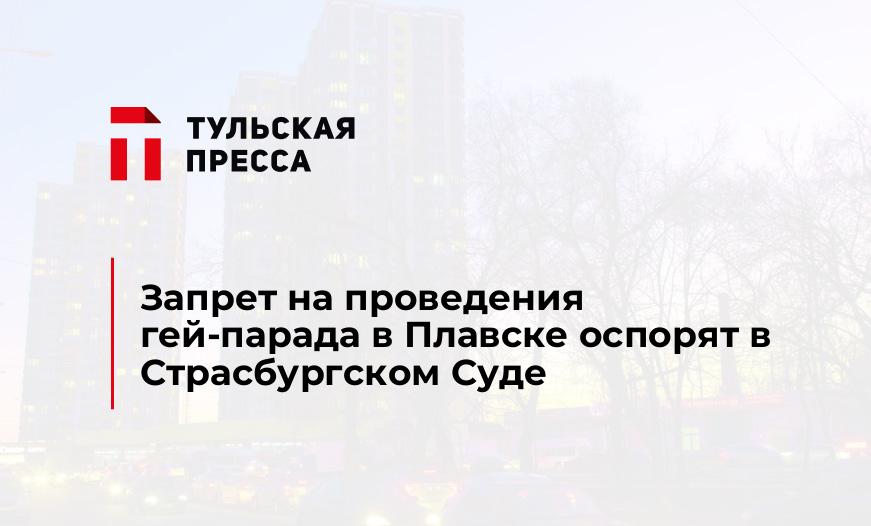 Запрет на проведения гей-парада в Плавске оспорят в Страсбургском Суде