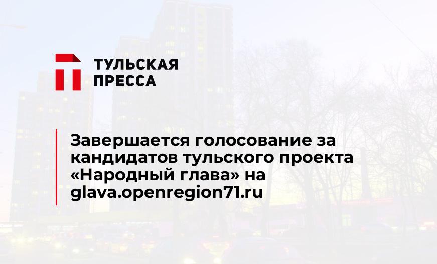 Завершается голосование за кандидатов тульского проекта «Народный глава» на glava.openregion71.ru