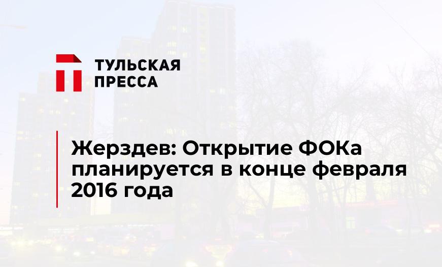 Жерздев: Открытие ФОКа планируется в конце февраля 2016 года