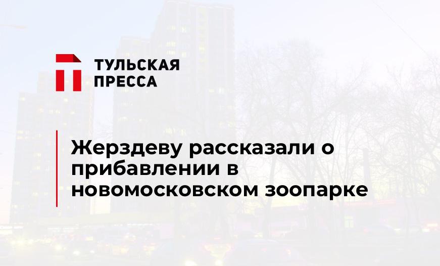 Жерздеву рассказали о прибавлении в новомосковском зоопарке