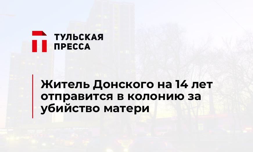Житель Донского на 14 лет отправится в колонию за убийство матери