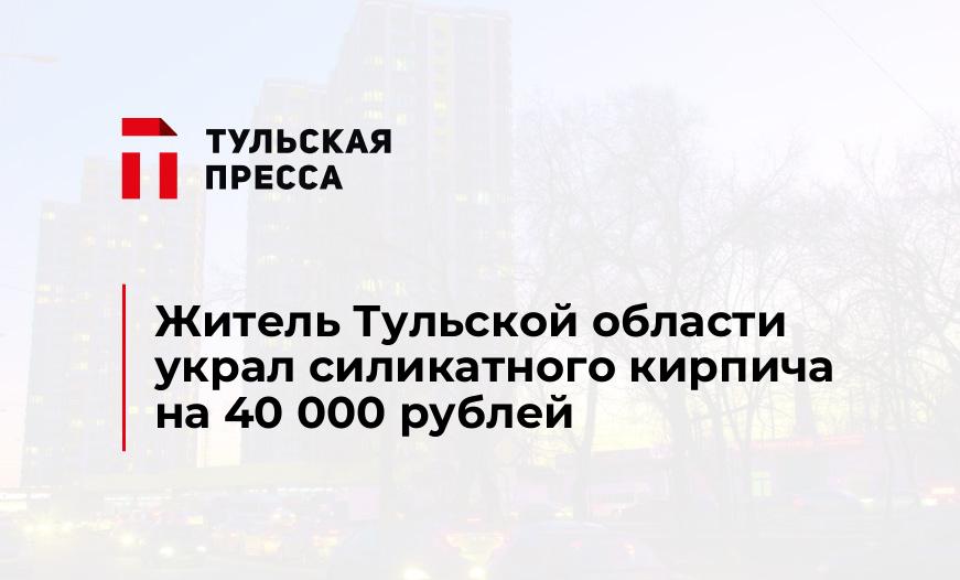 Житель Тульской области украл силикатного кирпича на 40 000 рублей