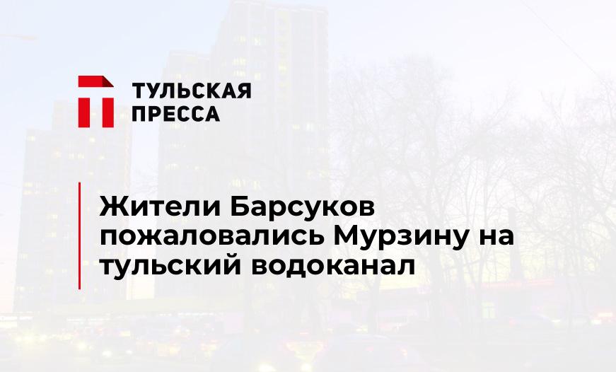 Жители Барсуков пожаловались Мурзину на тульский водоканал