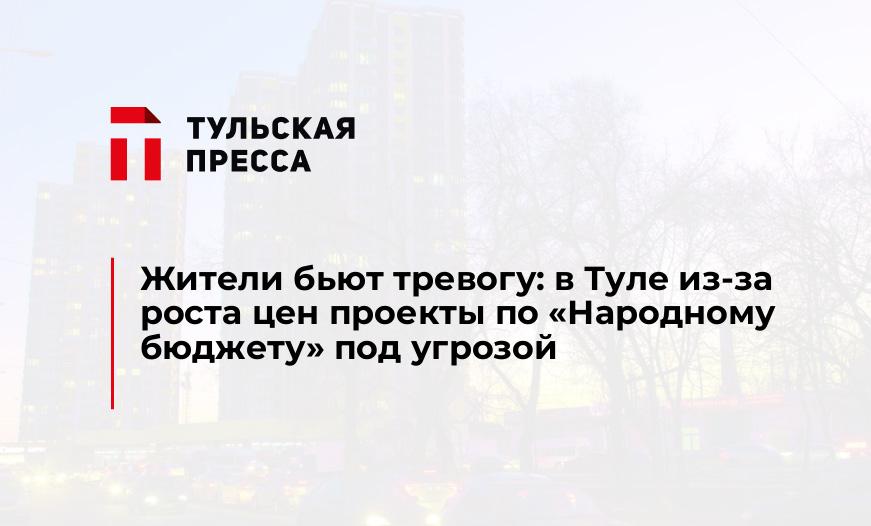 Жители бьют тревогу: в Туле из-за роста цен проекты по «Народному бюджету» под угрозой