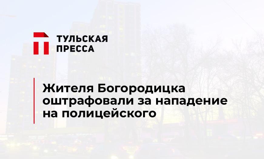 Жителя Богородицка оштрафовали за нападение на полицейского