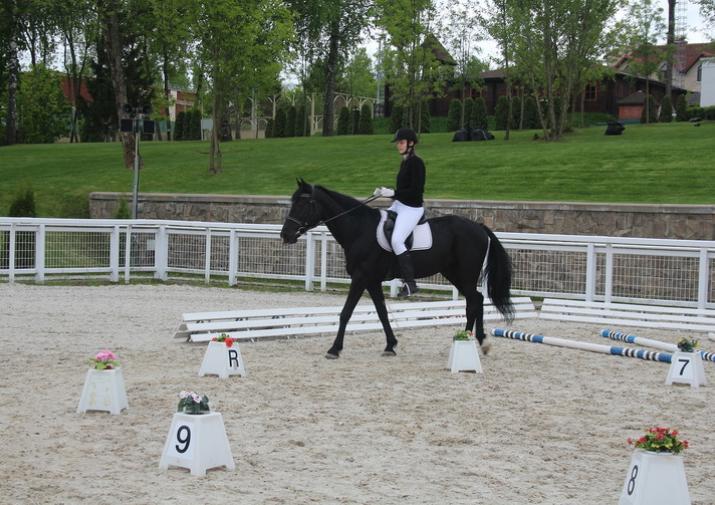 В Туле для инвалидов провели соревнования по конному спорту
