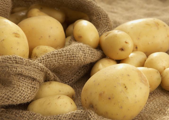 В Тулу завезли тонну подкарантинного картофеля из Казахстана 