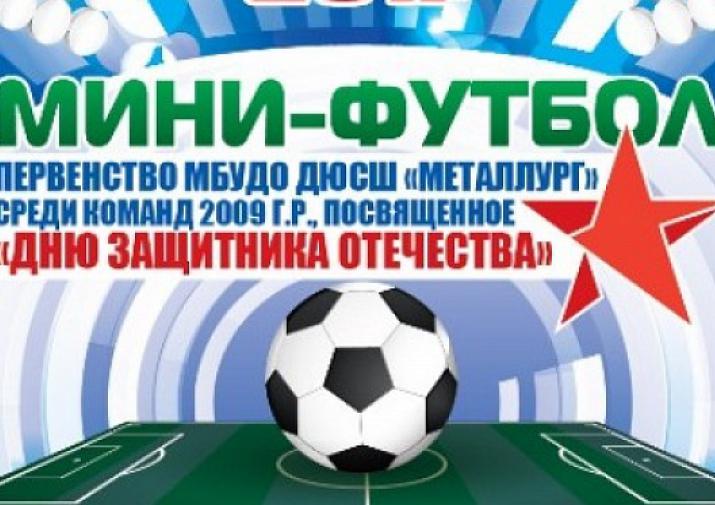 Накануне Дня защитника Отечества в Туле пройдет первенство по мини-футболу