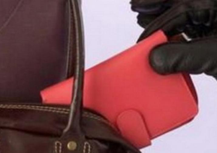 В Туле задержали женщину, укравшую кошелек у пенсионерки