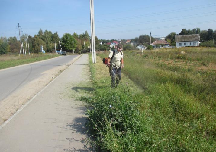 Окос травы и полив кустарников: в Туле 12 сентября продолжаются уходные работы