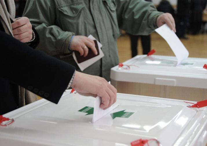 Довыборы в Алексине пройдут через год